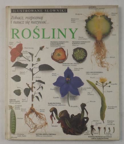 Chadwck   n. - Ilustrowane słownk. Roślny
