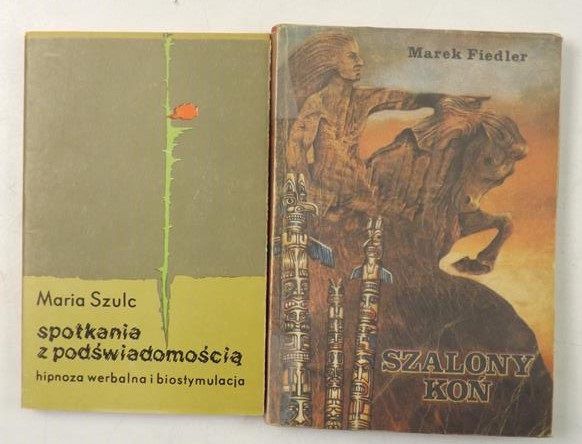 Fiedler M. / Szulc M. - Szalony koń / Spotkania z podświadomością