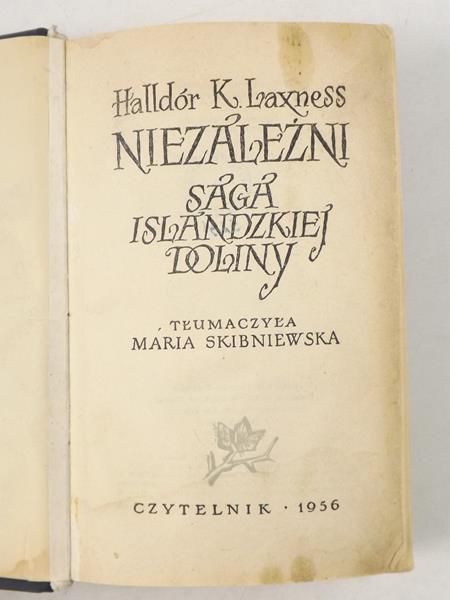 Saga islandzkiej doliny