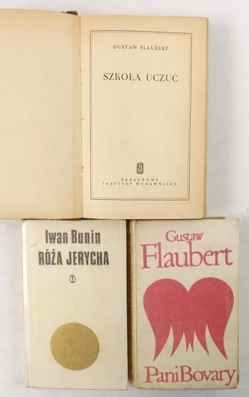 Bunin Iwan - Pani Bovary / Szkoła uczuć / Róża Jerycha