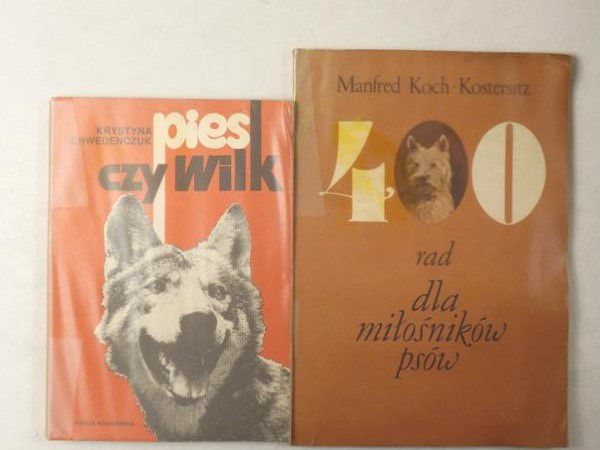 400 rad dla miłośników psów  Pies czy wilk