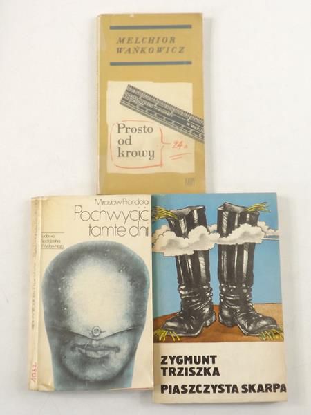 Wankowicz  - Pochwycić tamte dni / Piaszczysta skarpa / Prosto od krowy
