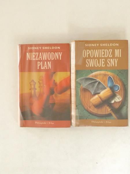 Niezawodny plan / opowiedz mi swoje sny