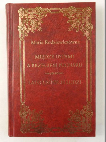 Między ustami a brzegiem pucharu