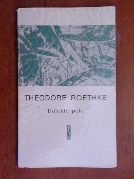 Dalekie pole