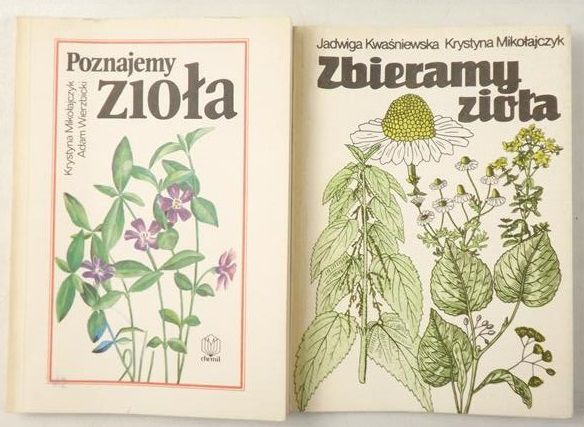 Zbieramy zioła / Poznajemy zioła