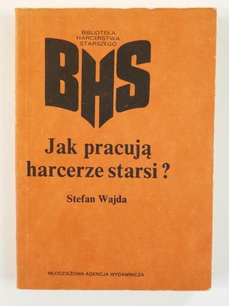 Jak pracują harcerze starsi