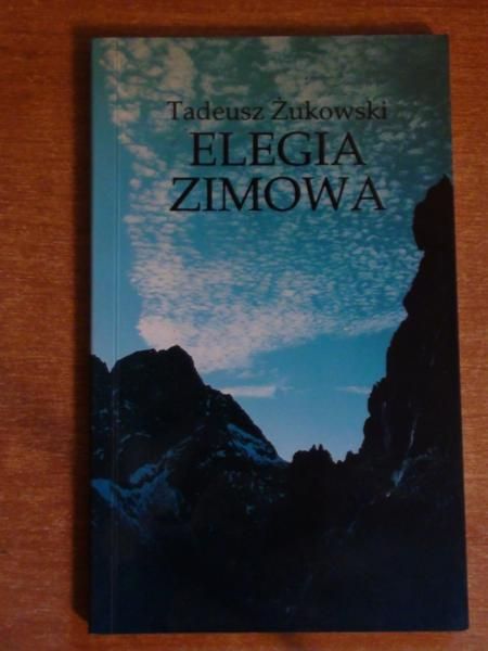 Elegia zimowa