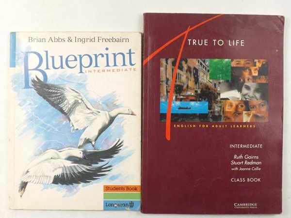 Abbs Brian, Freebairn Ingrid/ Gairns Ruth, Redman Stuart - Blueprint intermediate/ True to life