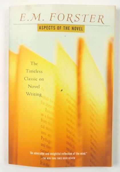 Aspects of the novel