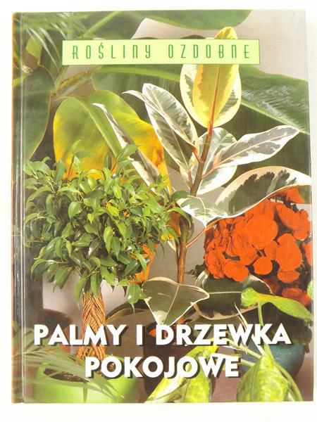 Palmy i drzewka pokojowe