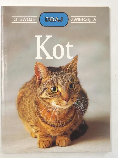 Kot. Dbaj o swoje zwierzęta