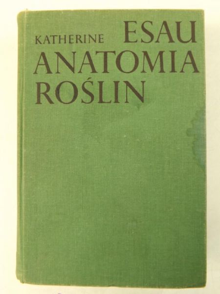 Antatomia roślin