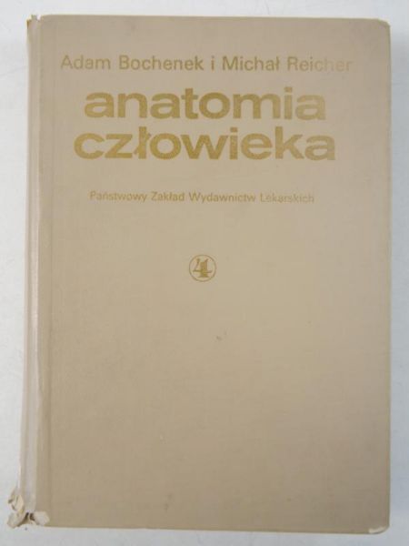 Anatomia człowieka