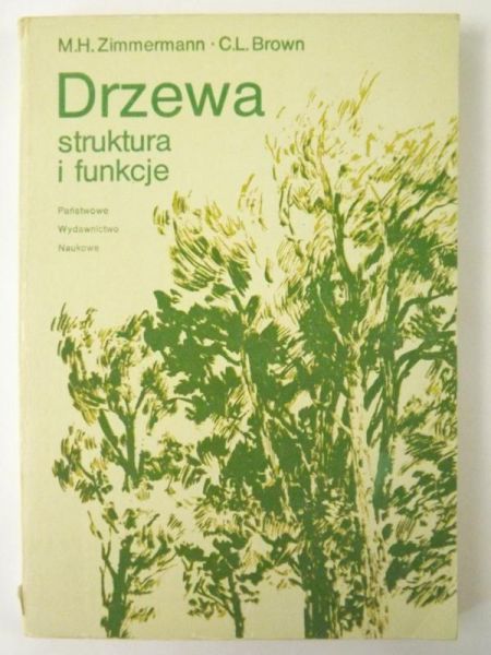 Drzewa - struktura i funkcje