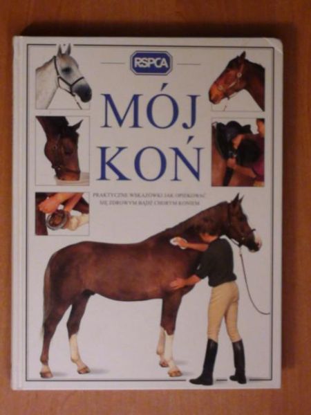 Mój koń