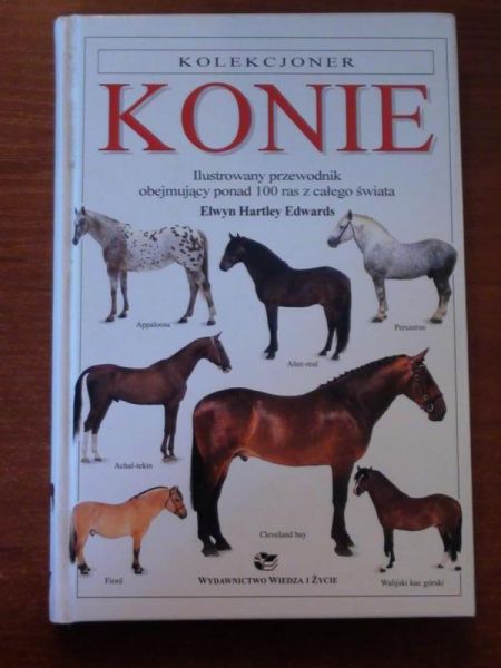 Konie