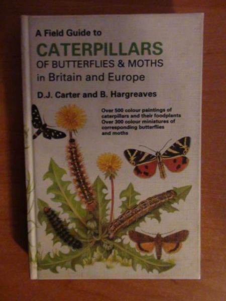Carter D.,   - A Field Guide to Caterpillars of Butterflies & Moths