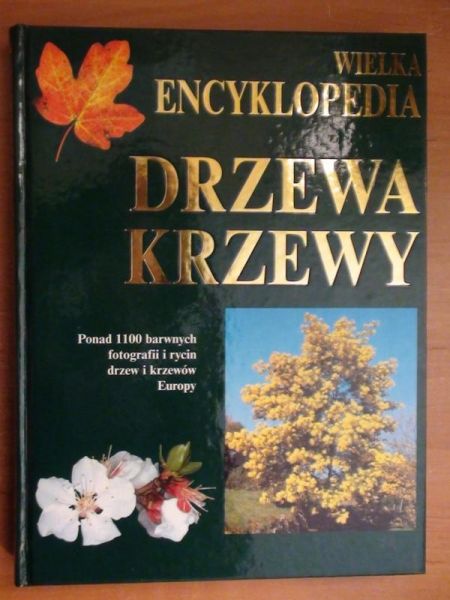 Wielka encyklopedia. Drzewa, krzewy