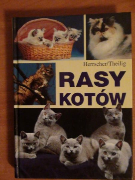 Theilig, - Rasy kotów