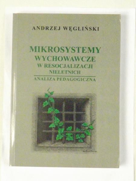 Mikrosystemy wychowawcze w resocjalizacji nieletnich. Analiza pedagogiczna