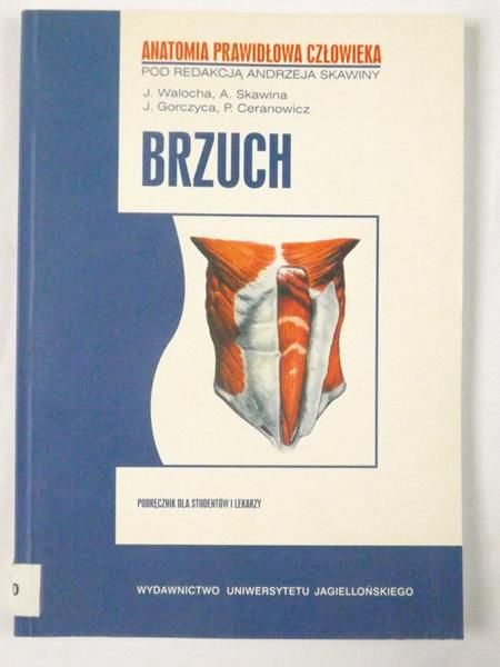 Brzuch