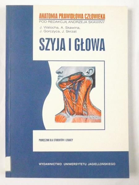 Szyja i głowa