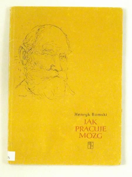 Jak pracuje mózg