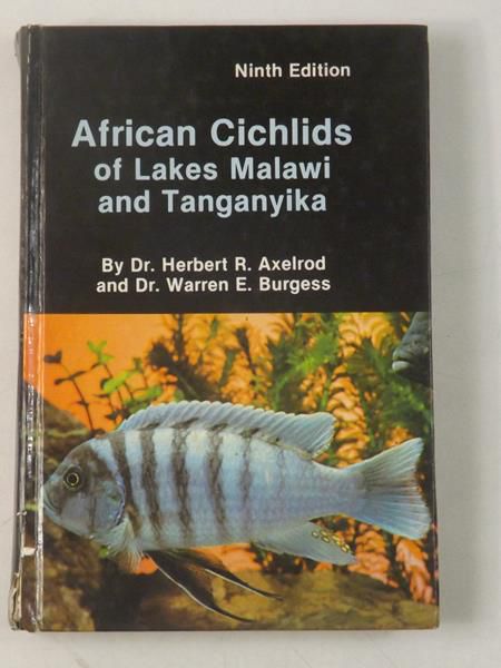 African Cichlids of Lakes Malawi and Tanganyika