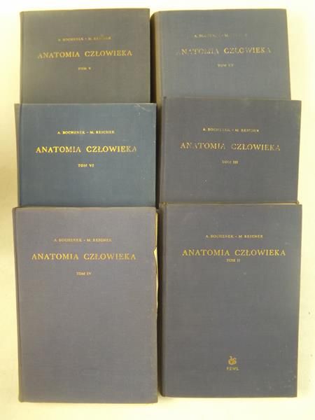 Anatomia człowieka, Tom II-VII