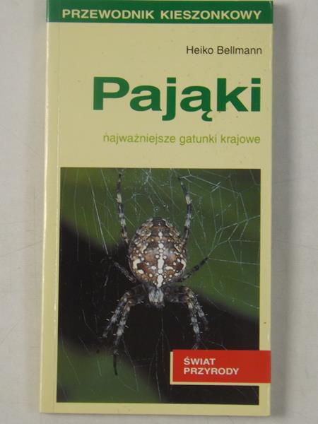 Pająki
