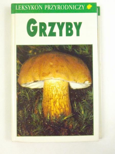 Grzyby