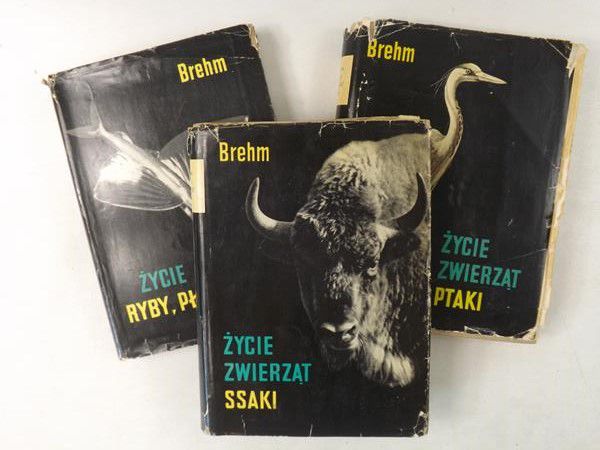 Brehm Alfred - Życie zwierząt: Ptaki / Ryby, płazy i gady / Ssaki