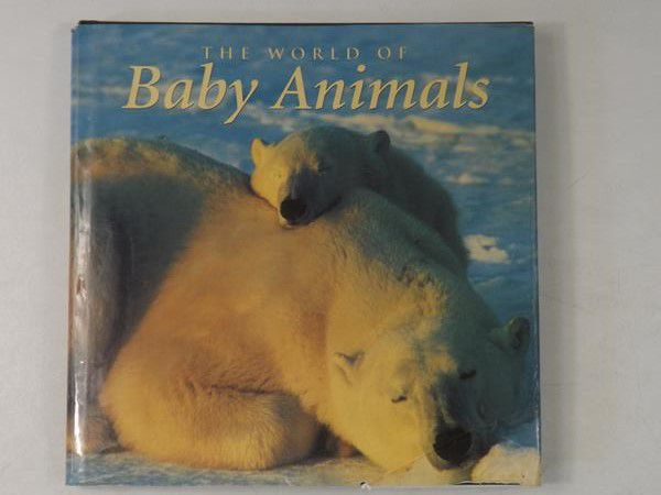 Hodgson Bryan  - The World of Baby Animals