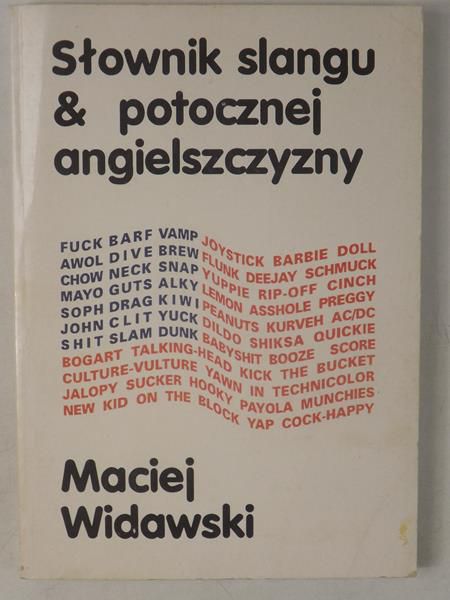 Słownik slangu & potocznej angielszczyzny