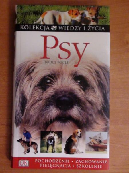 Psy