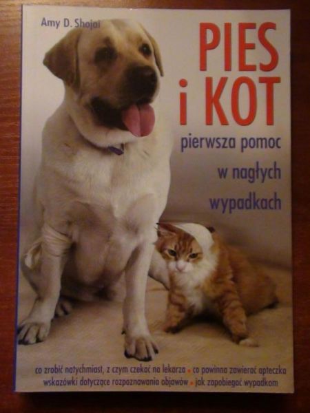 Pies i kot