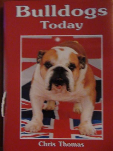 Buldogs Today