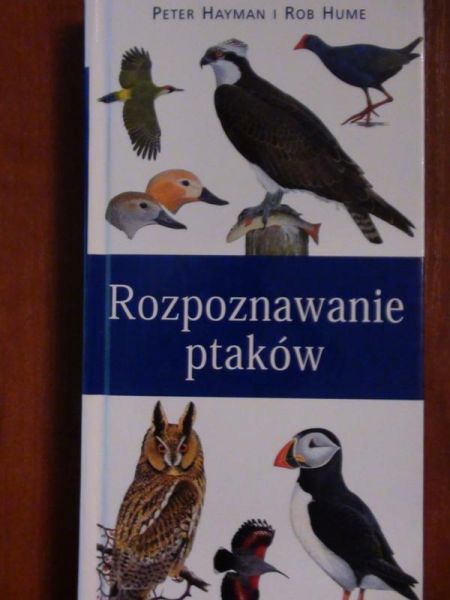 Hayman Peter,   - Rozpoznawanie ptaków