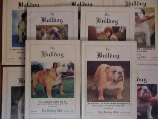 The Bulldog