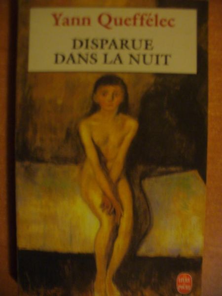Disparue Dans la Nuit