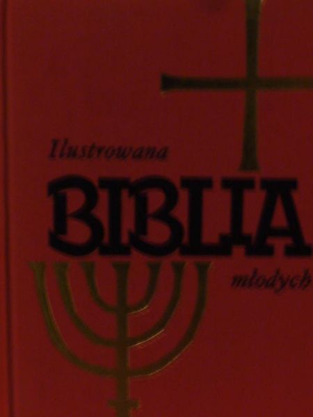 Ilustrowana Biblia Młodych