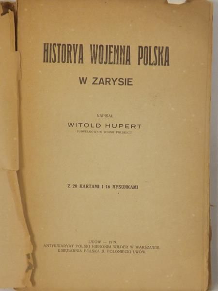 Historya wojenna Polska, 1919 r.