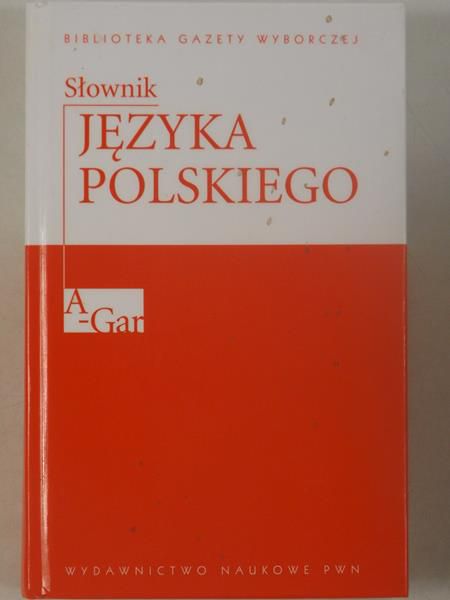 Słownik języka polskiego, Tom I