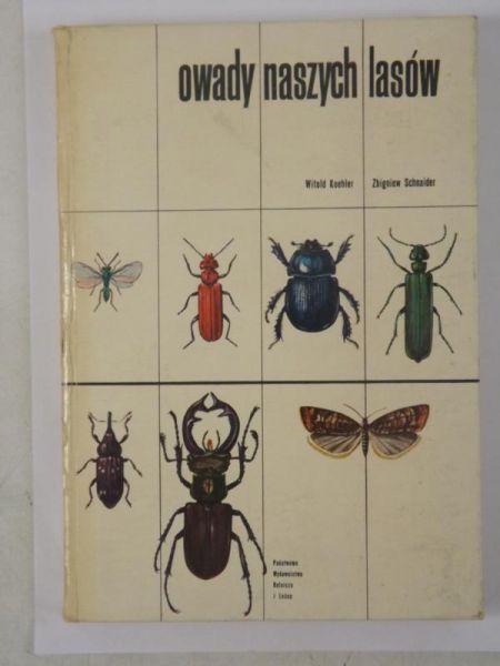 Owady naszych lasów