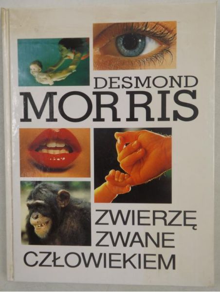 Zwierzę zwane człowiekiem