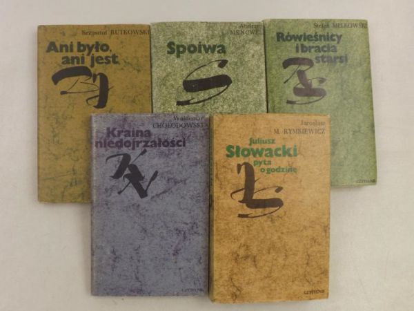 Zestaw 5 książek