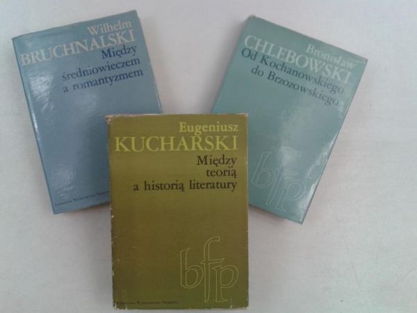 Między średniowieczem a romantyzmem  Między teorią a historią literatury  Od Kochanowskiego do Brzozowskiego
