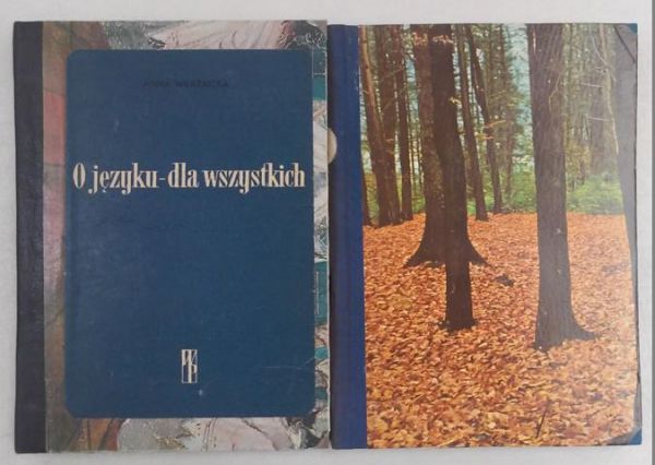 O języku - dla wszystkich  Słownictwo