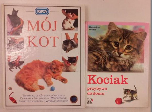 Mój kot  Kociak przybywa do domu
